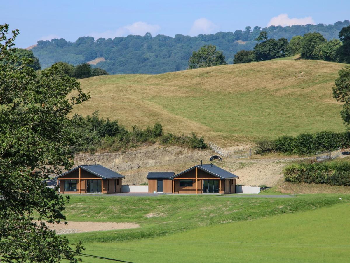 Willa Meadow View Meifod Zewnętrze zdjęcie
